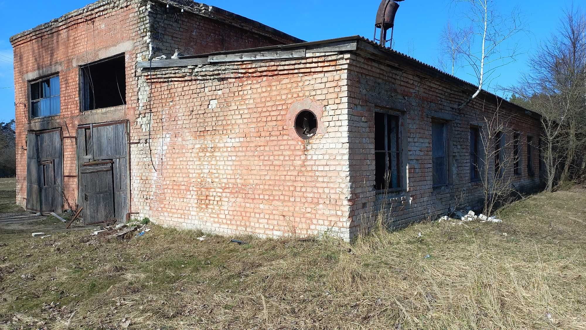 Приміщення під.Зерносховище . Склад. Овочесховище Пилорама СТО