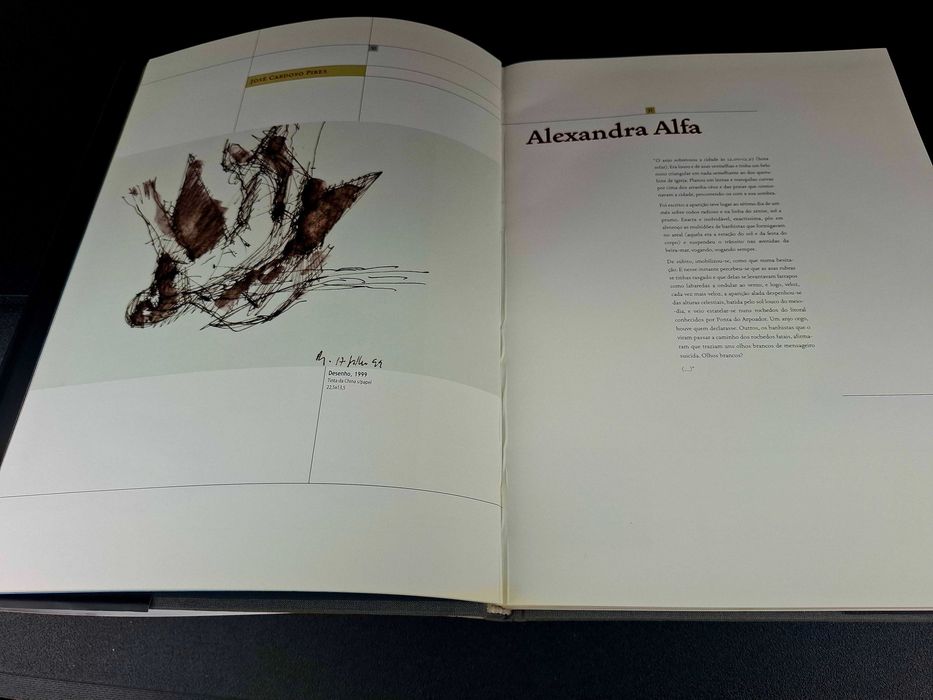 Livro Rogerio Ribeiro ICARO