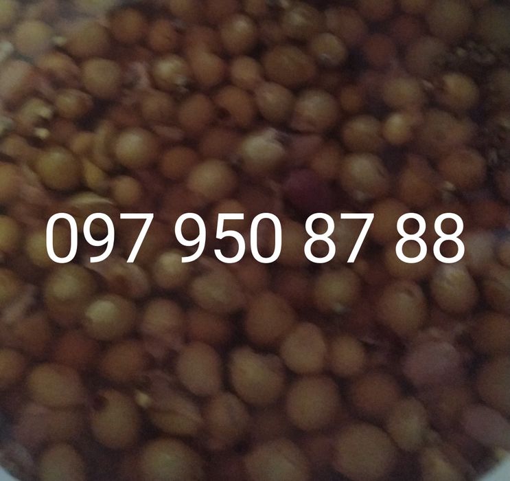 Візьму на квартиру хлопця.