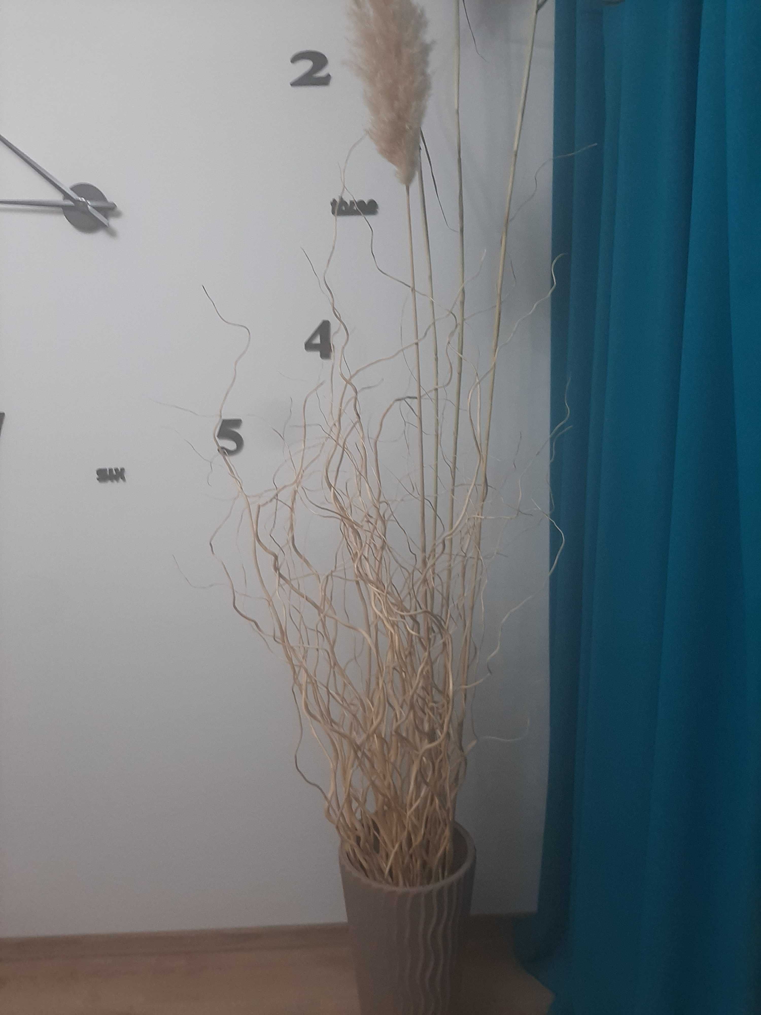 Ozdobne suszone gałązki z okorowanej wierzby z trawami