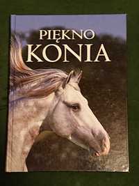 Książki "Konie", "Piękno konia", 3 albumy