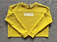 Bluza Puma musztardowa r. S