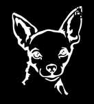 CHIHUAHUA - 17cm x 13cm - naklejka na auto ścianę laptop quad motor
