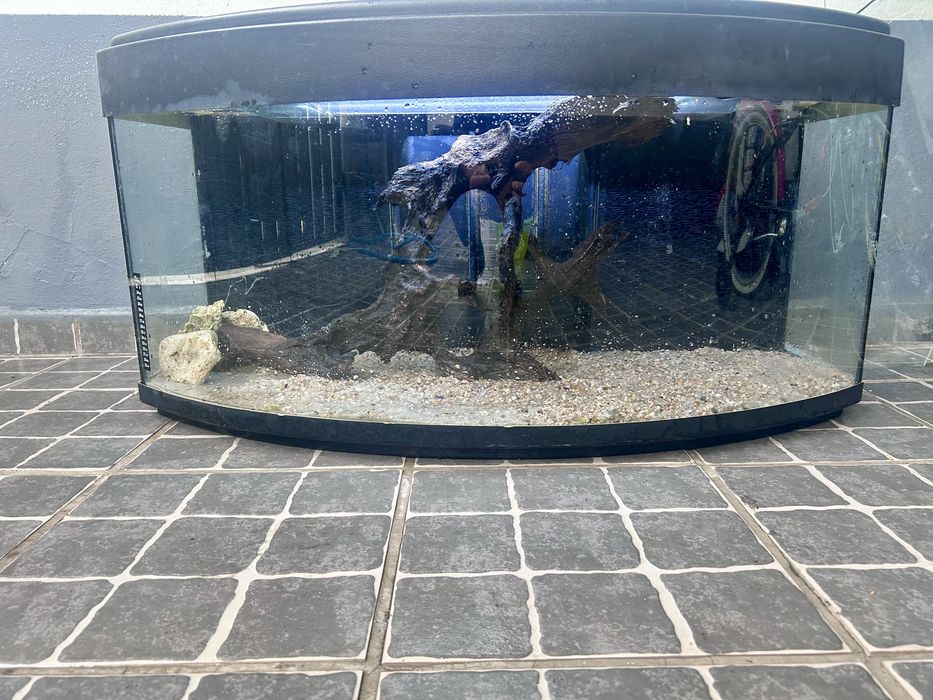 Aquario Panoramico 1 Metro