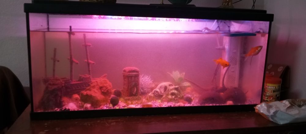 Aquário completo