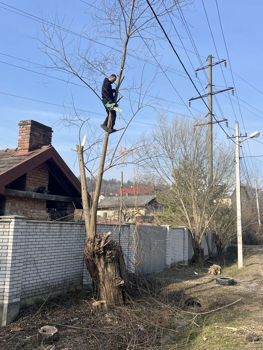 Чистка ділянок косіння трави зрізання дерев кущів