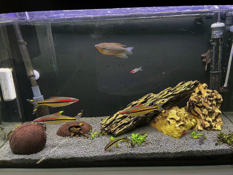 Продам свой аквариум на 80л 
Комплект