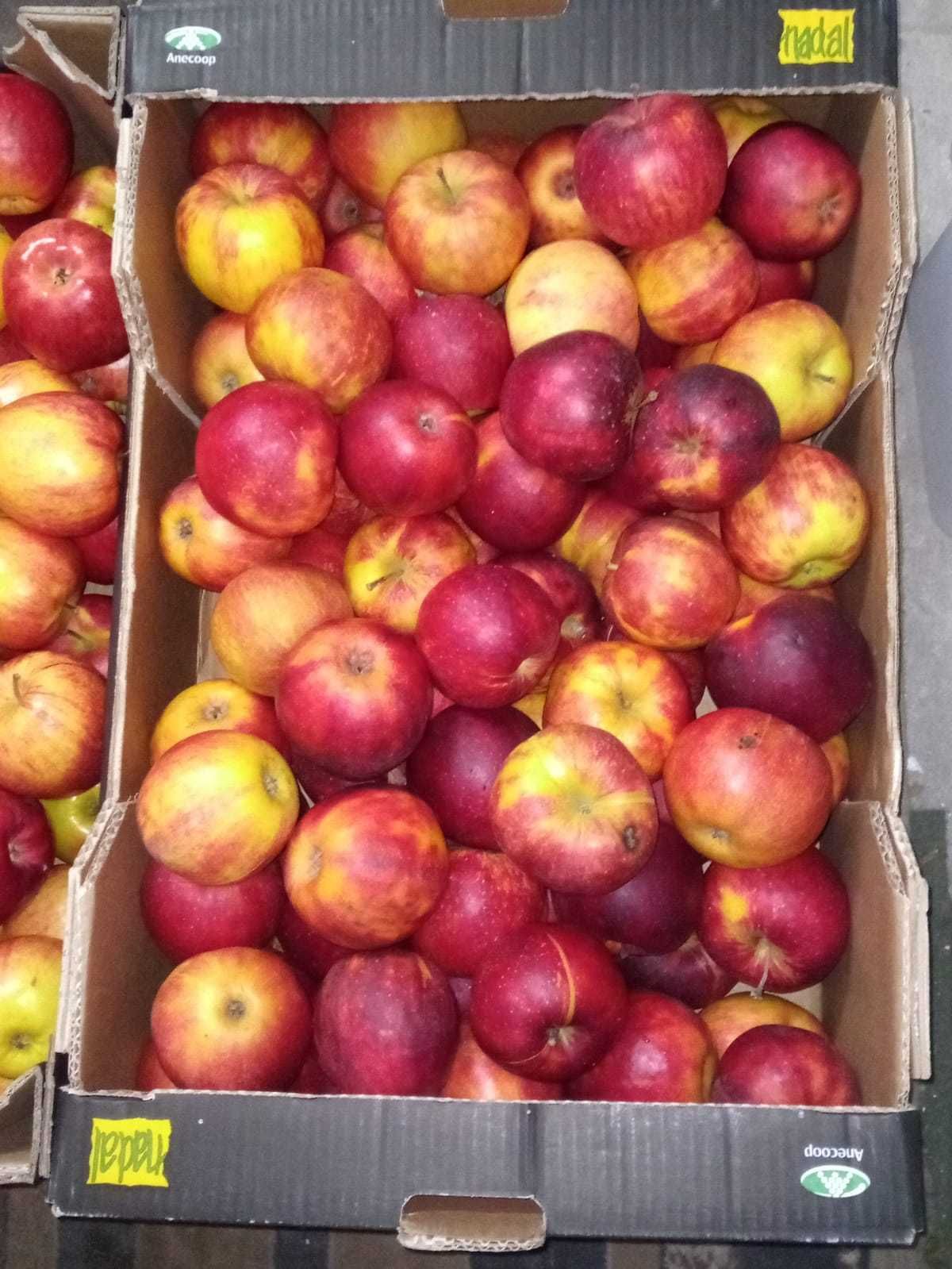 10 kg jabłek własna uprawa