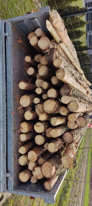 Stemple sosnowe 300-320cm Nowe!!!
