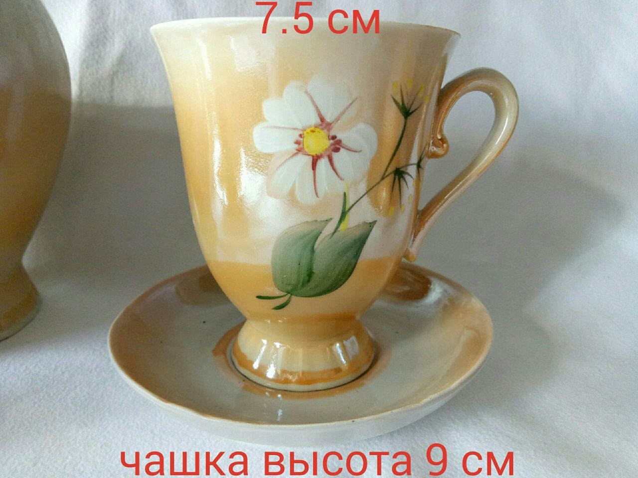 Сервіз для молока Городницький