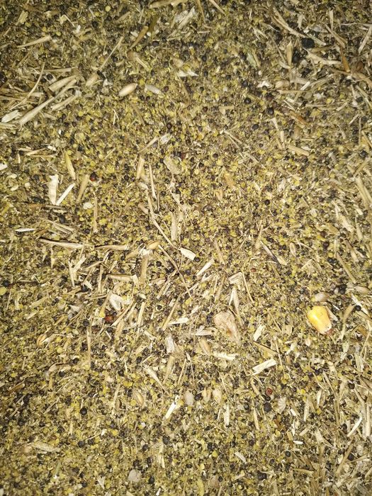 Mieszanka z Rzepakiem do bydła