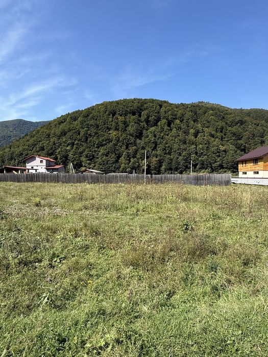 Продається 10 соток в Міжгірʼі
