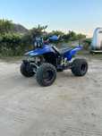 Yamaha warrior 350