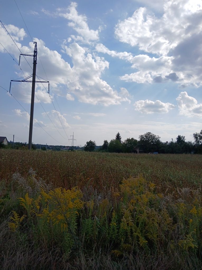 Продаж земельної ділянки, Боголюби