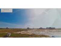 Lote Ermidas Sado