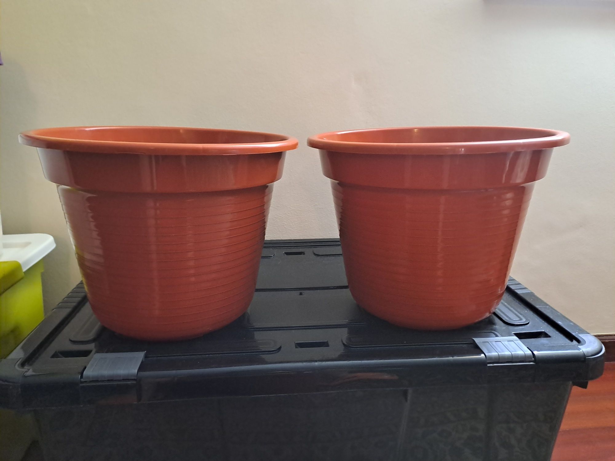 Vasos de plantas