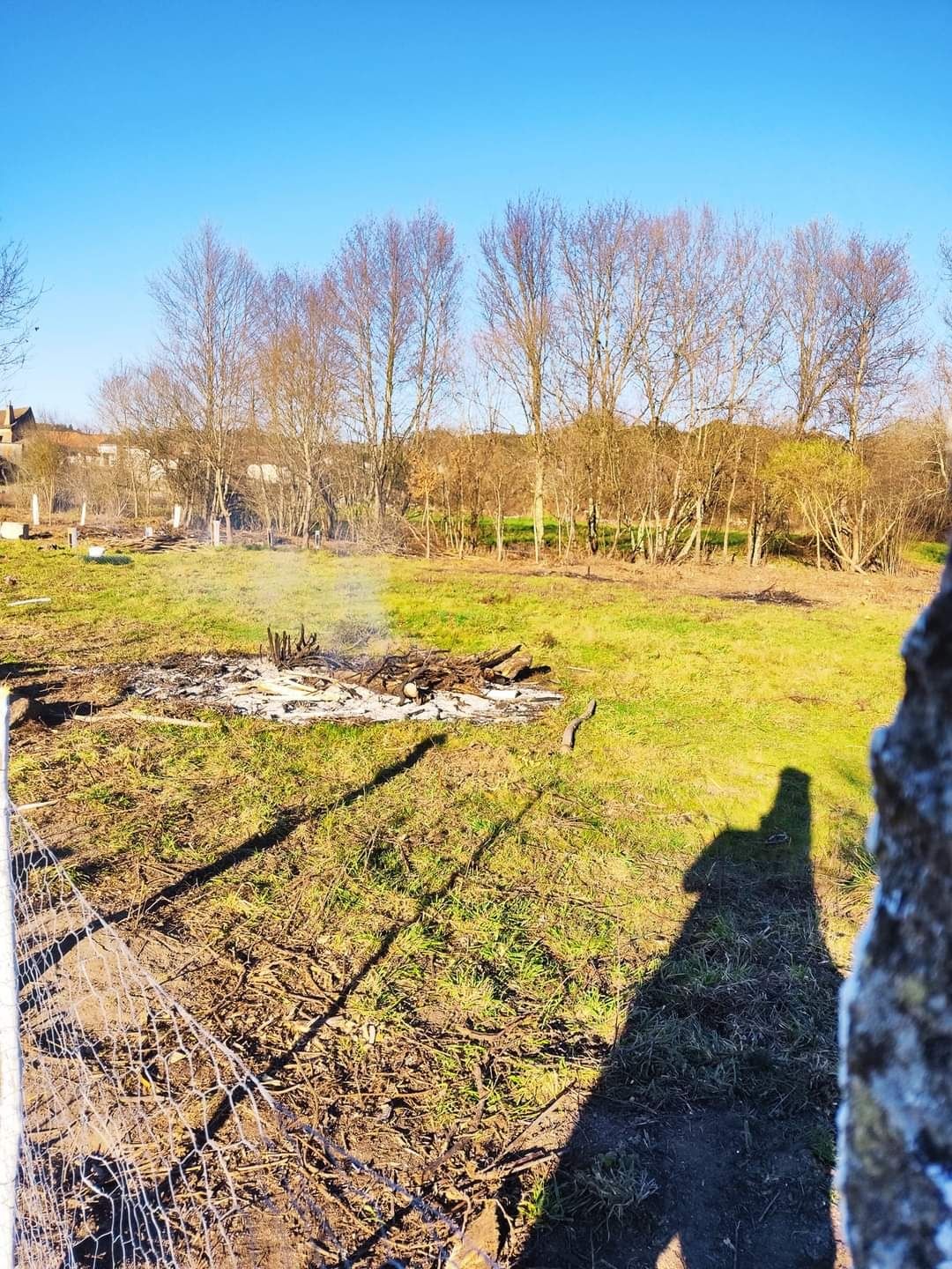 Terrenos rusticos Viseu