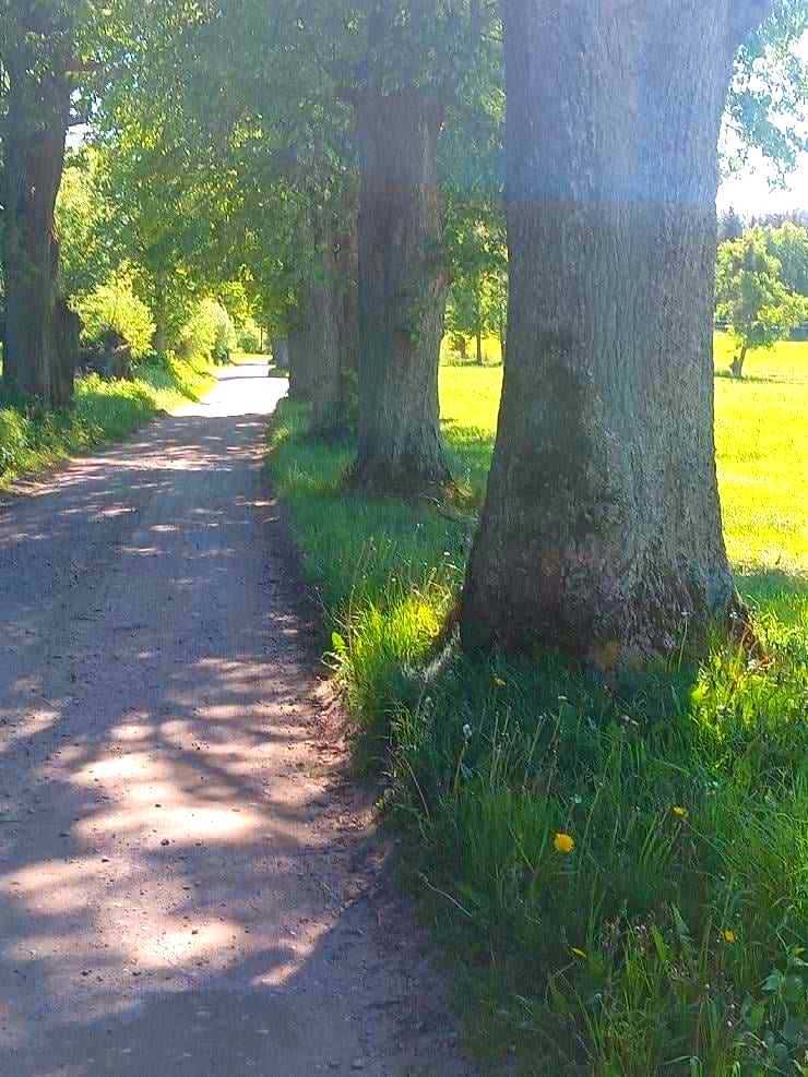 Sprzedam działki budowlane na Mazurach