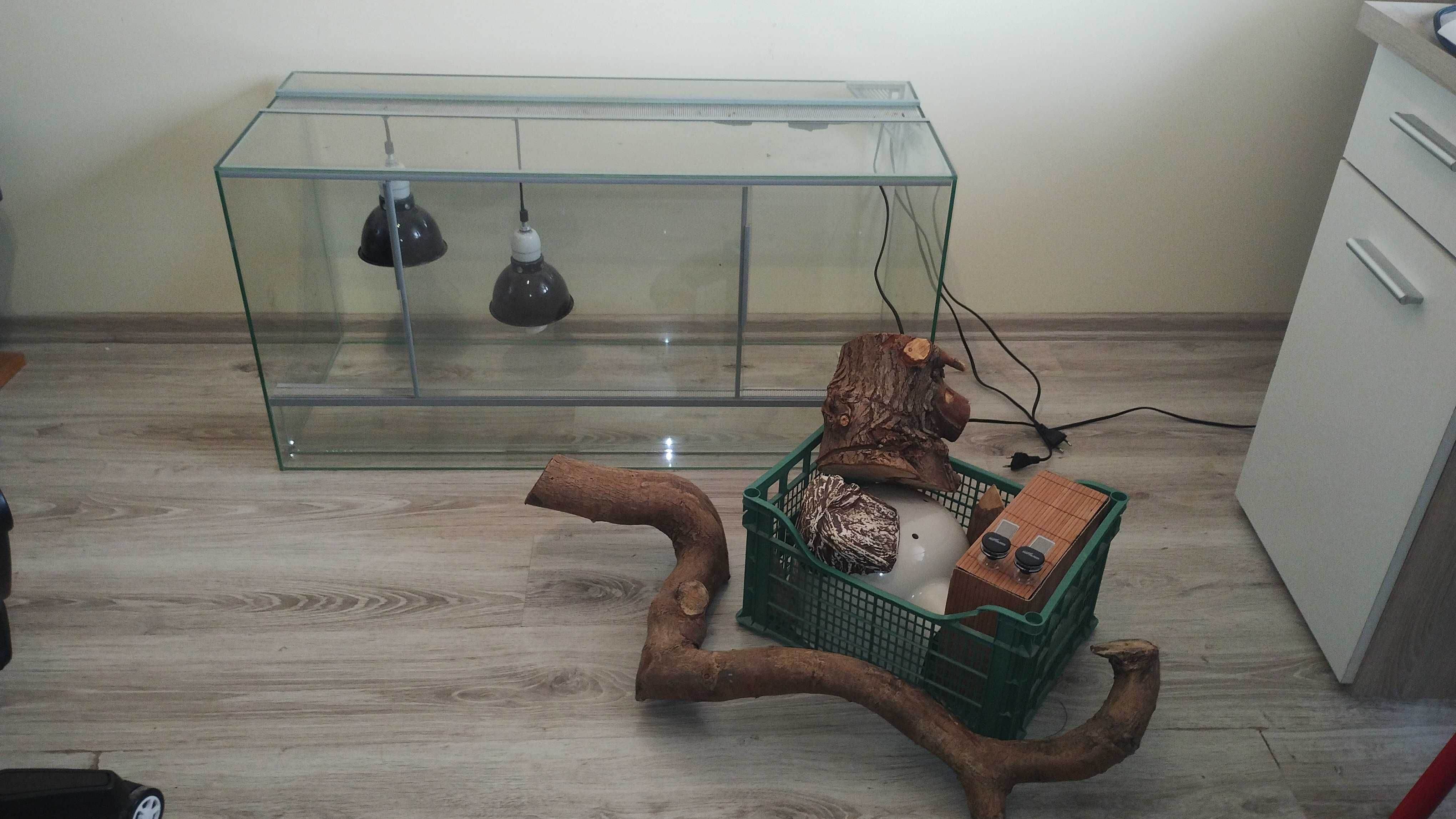 Terrarium z wyposażeniem