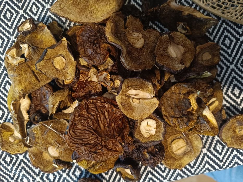 Suszone podgrzybki całe kapelusze