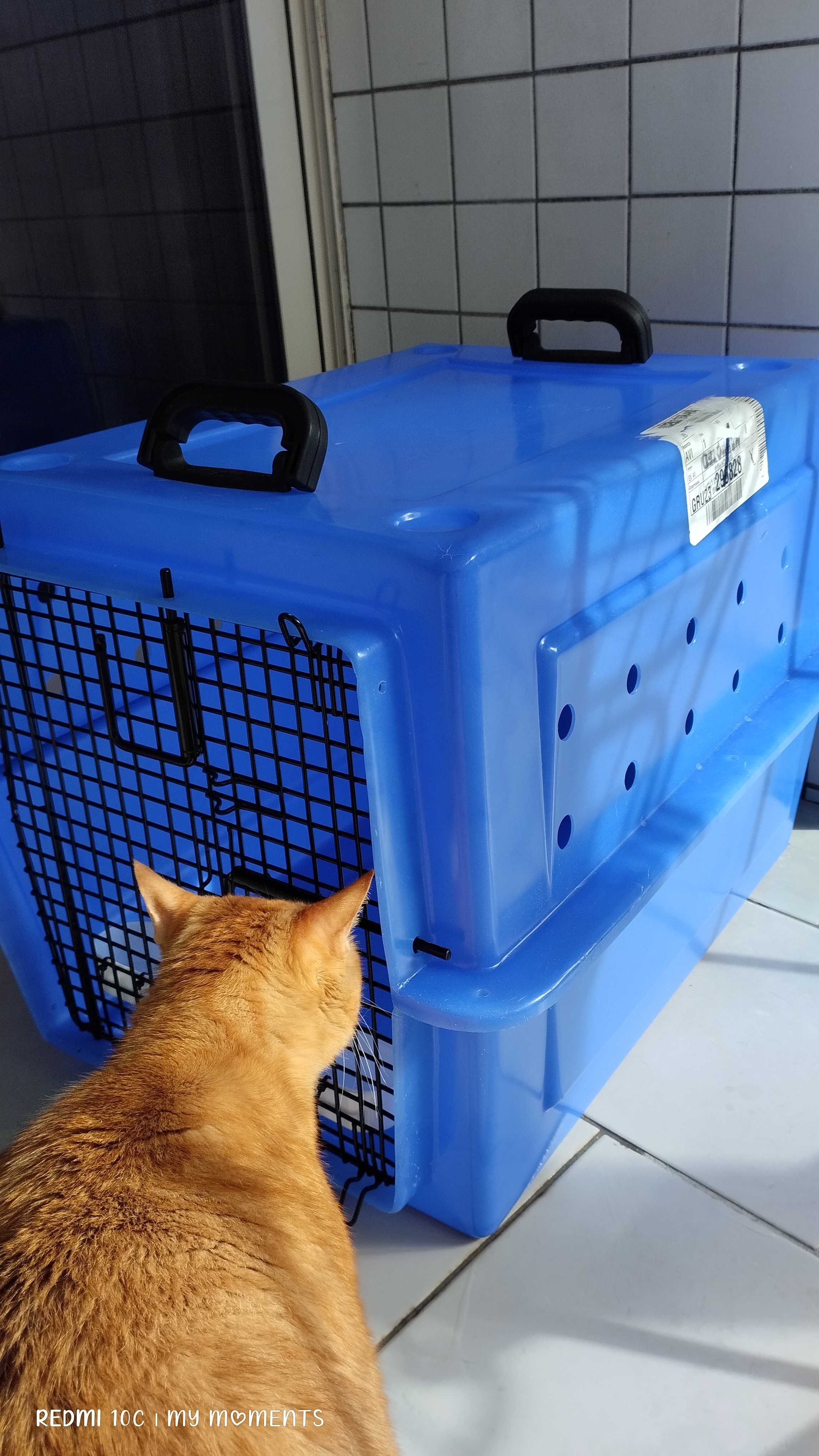 Caixa para transporte aéreo. Gatos ou cães de pequeno porte