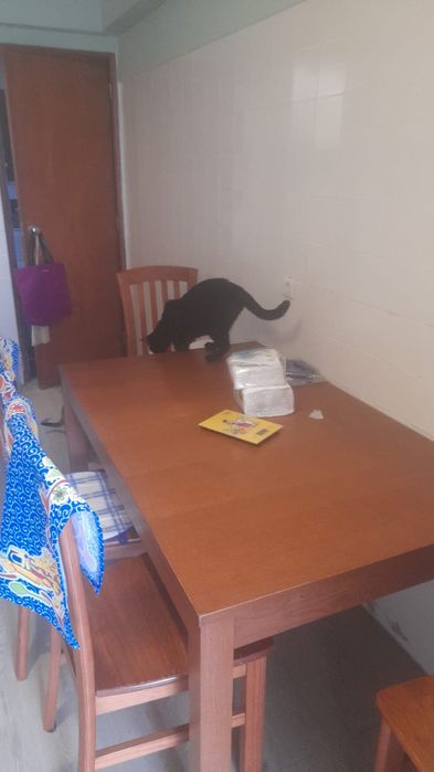 Mesa de Jantar Extensivel + 4 Cadeiras