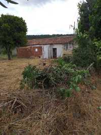 Casa para recuperar no concelho de Abrantes