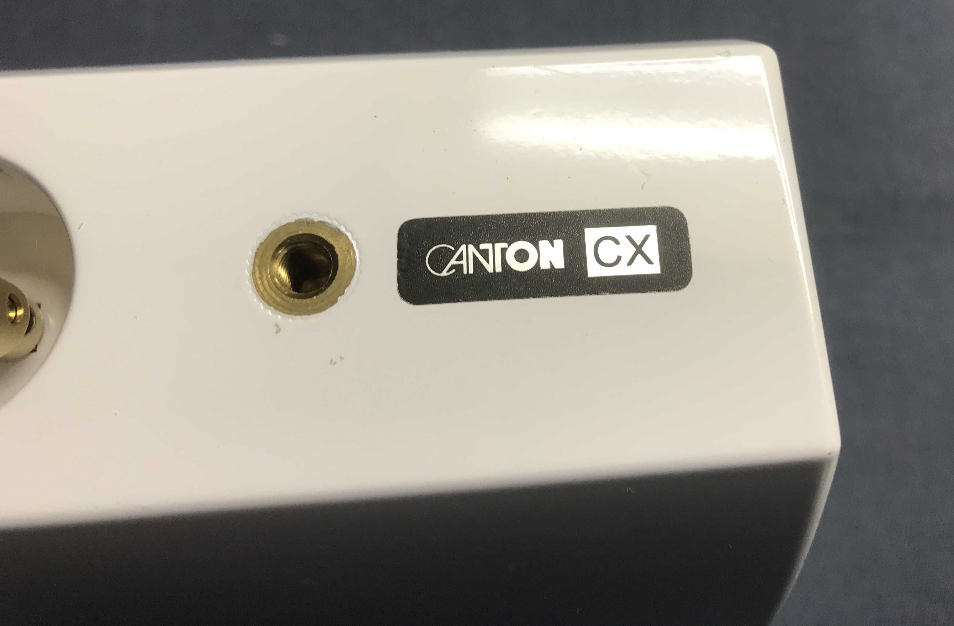 Продам акустику Canton CX 2+1 черного цвета-отличная .