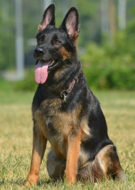 Німецький красень запрошує на побачення