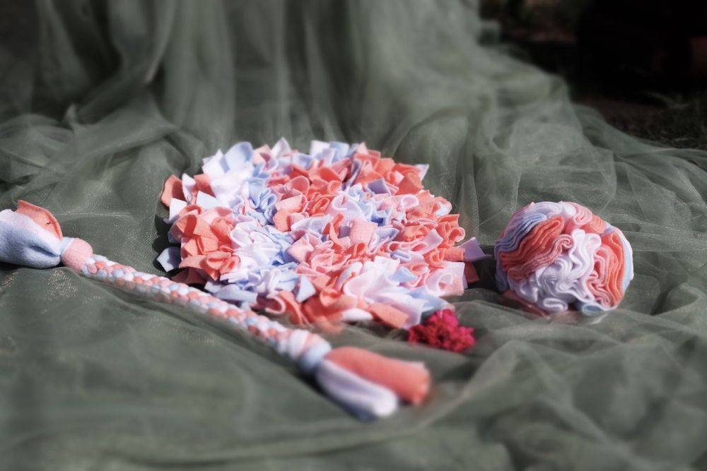 ZwierzoBox – zestaw kula, mata węchowa i szarpak dla psa