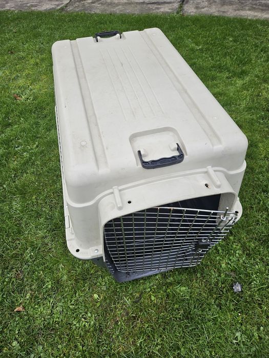 Transporter dla dużego psa