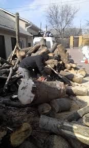 Будівельні роботи, косіння трави, встановлення парканів пилка і рубка