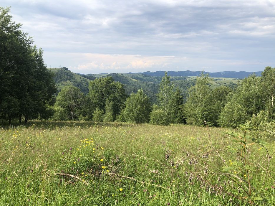 Земельна ділянка під Писаним Каменем