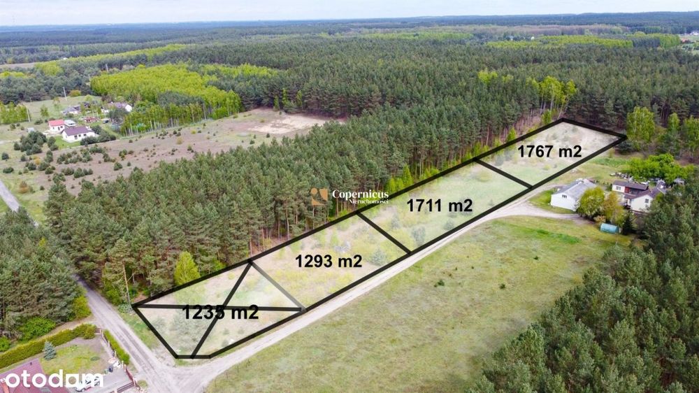 Działka blisko lasu, cisza i spokój! Bez prowizji.
