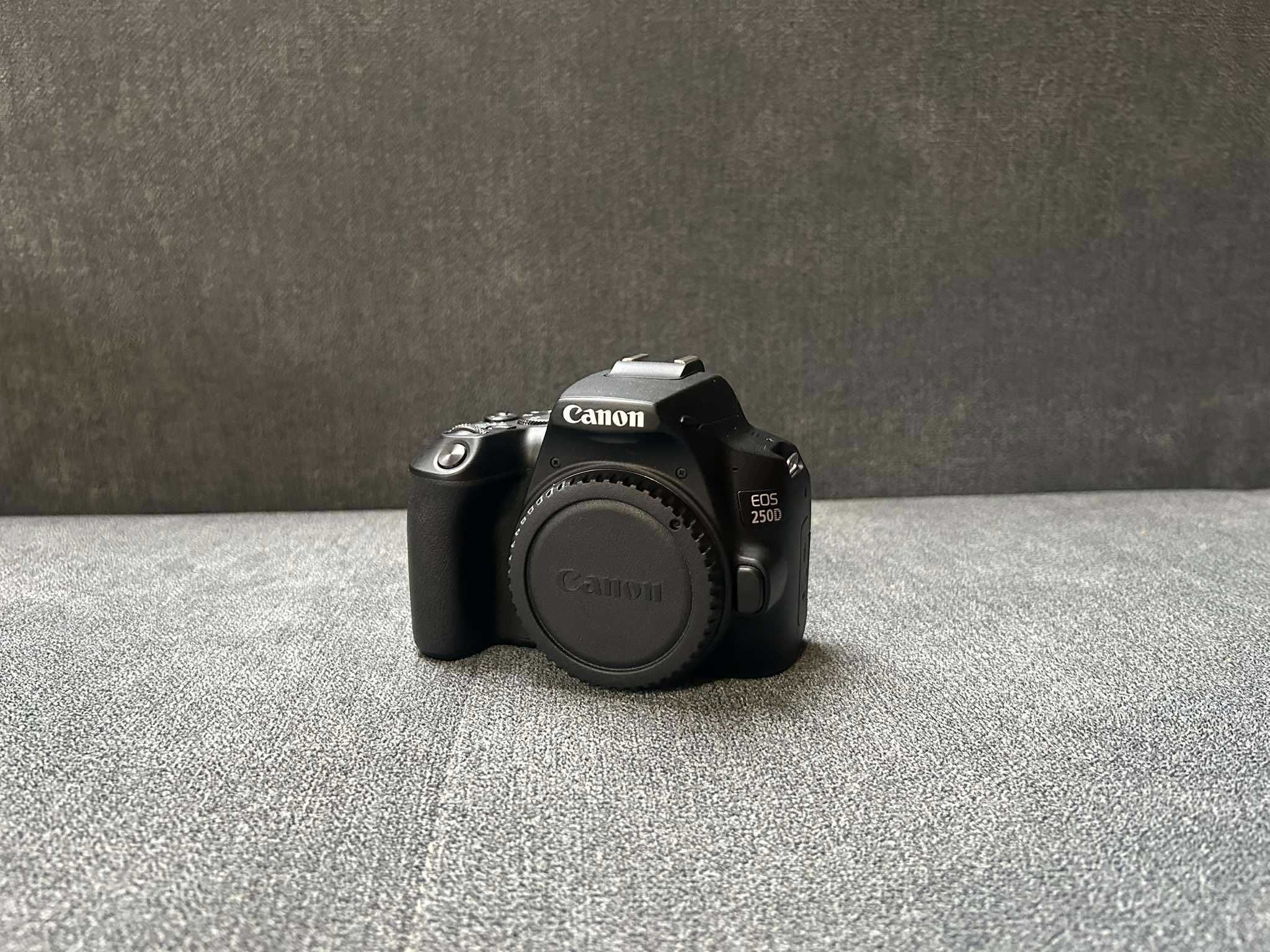 Aparat Canon EOS 250D + lampy Aputure Amaran AL-M9