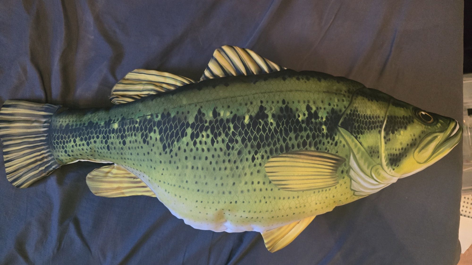 Poduszka ryba Bass wielkogębowy 64cm firmy Gaby