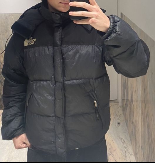 Puffer the north face 700