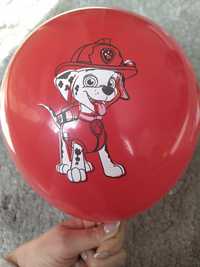 Zestaw balonów psi patrol