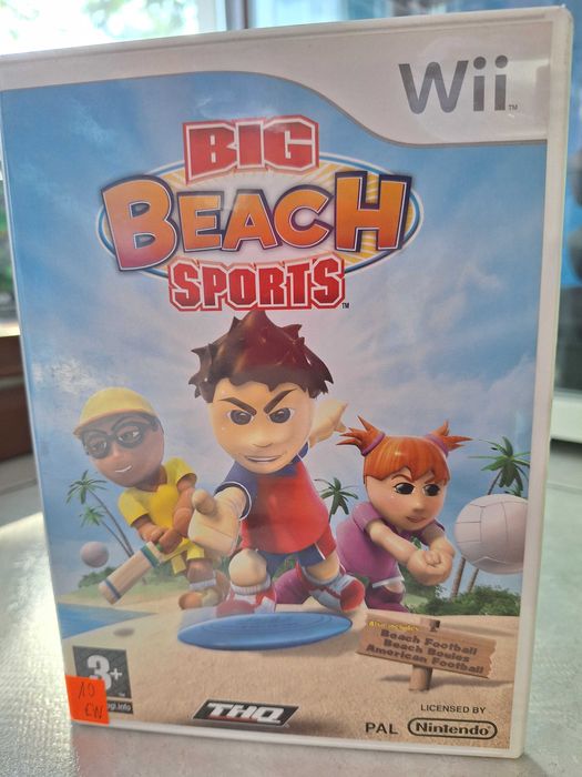 Big Beach Sports Wii, CentrumGrania