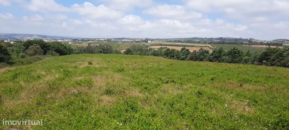 Oportunidade Única em Carvalhal, Bombarral: Terreno com possibilidade