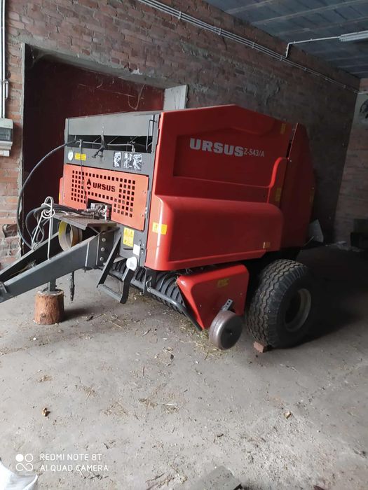 Sprzedam prase z-543 warfama, ursus