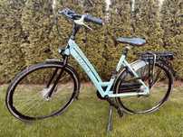 Gazelle Chamonix pure