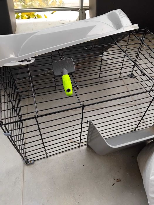 Caixa transporte animais