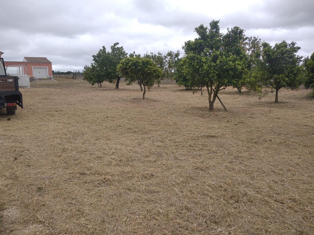 Fazemos todo tipo de limpezas de terrenos