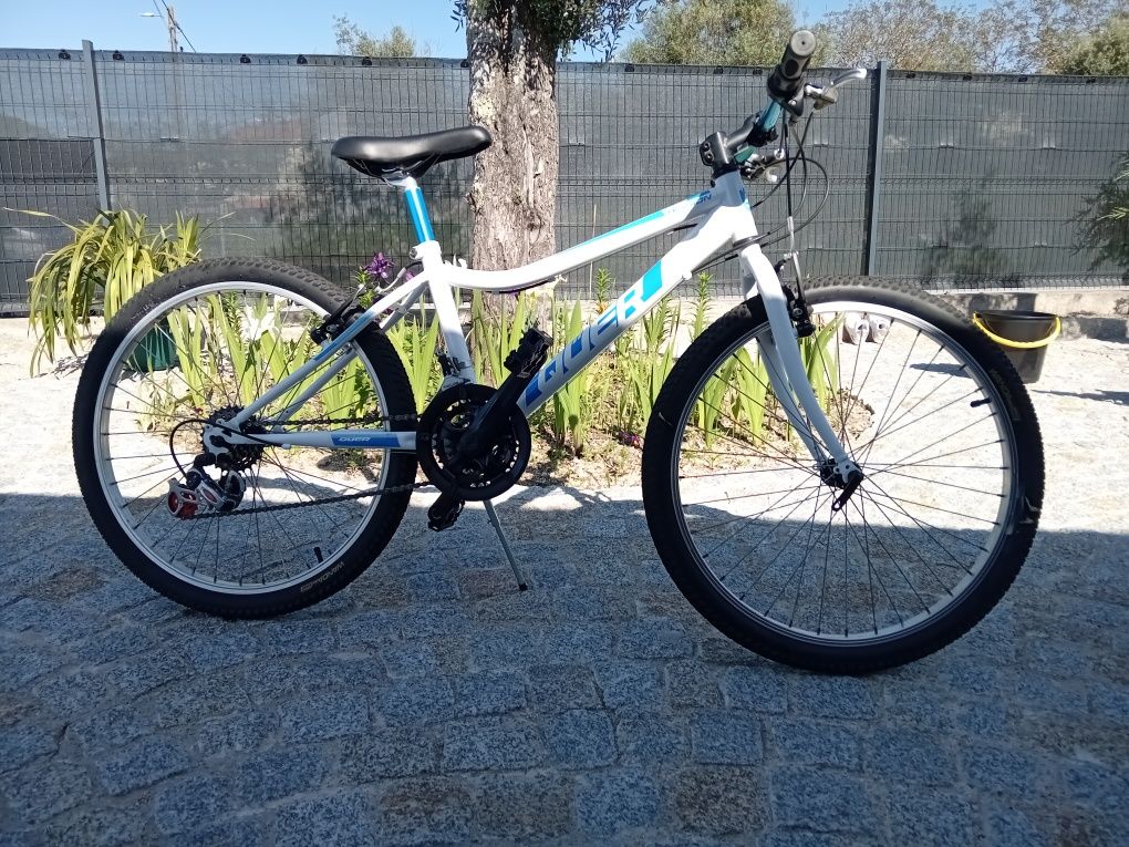 Bicicleta roda 24