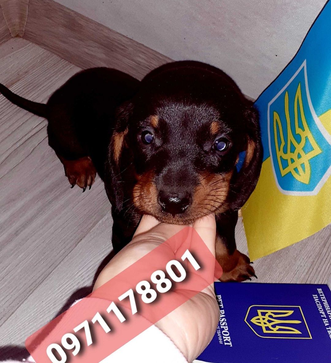 дівчинка з хлопчиком мраморні ,