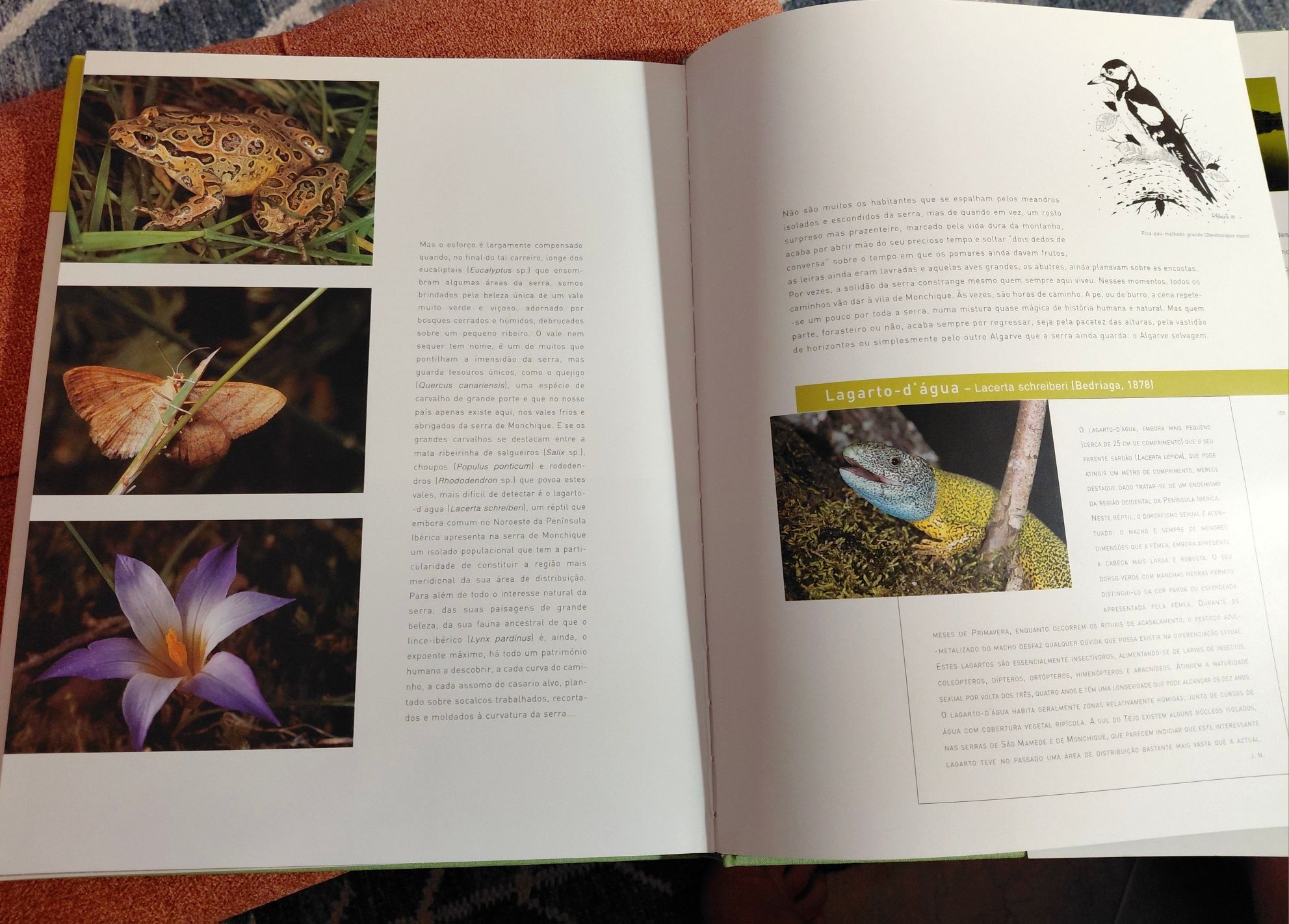 Livro "Descobrir Portugal: Lugares Naturais" - Edições INAPA