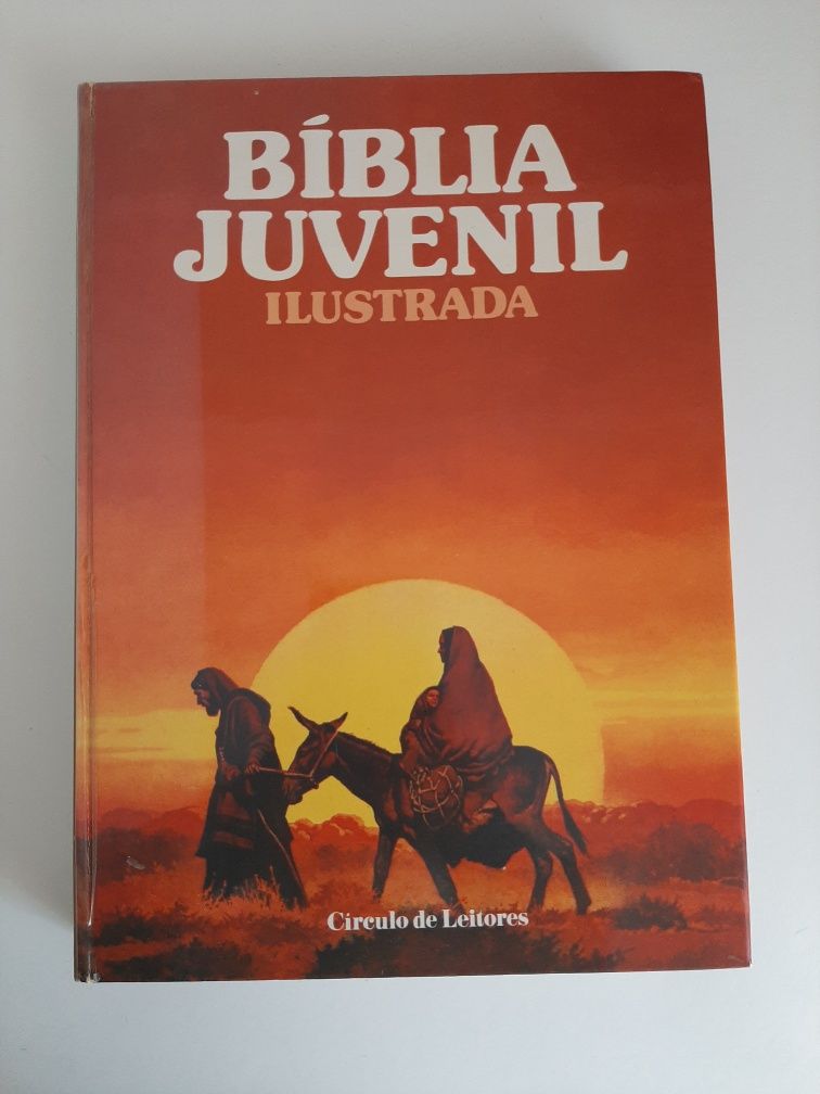 Bíblia Juvenil Ilustrada (portes incluídos)