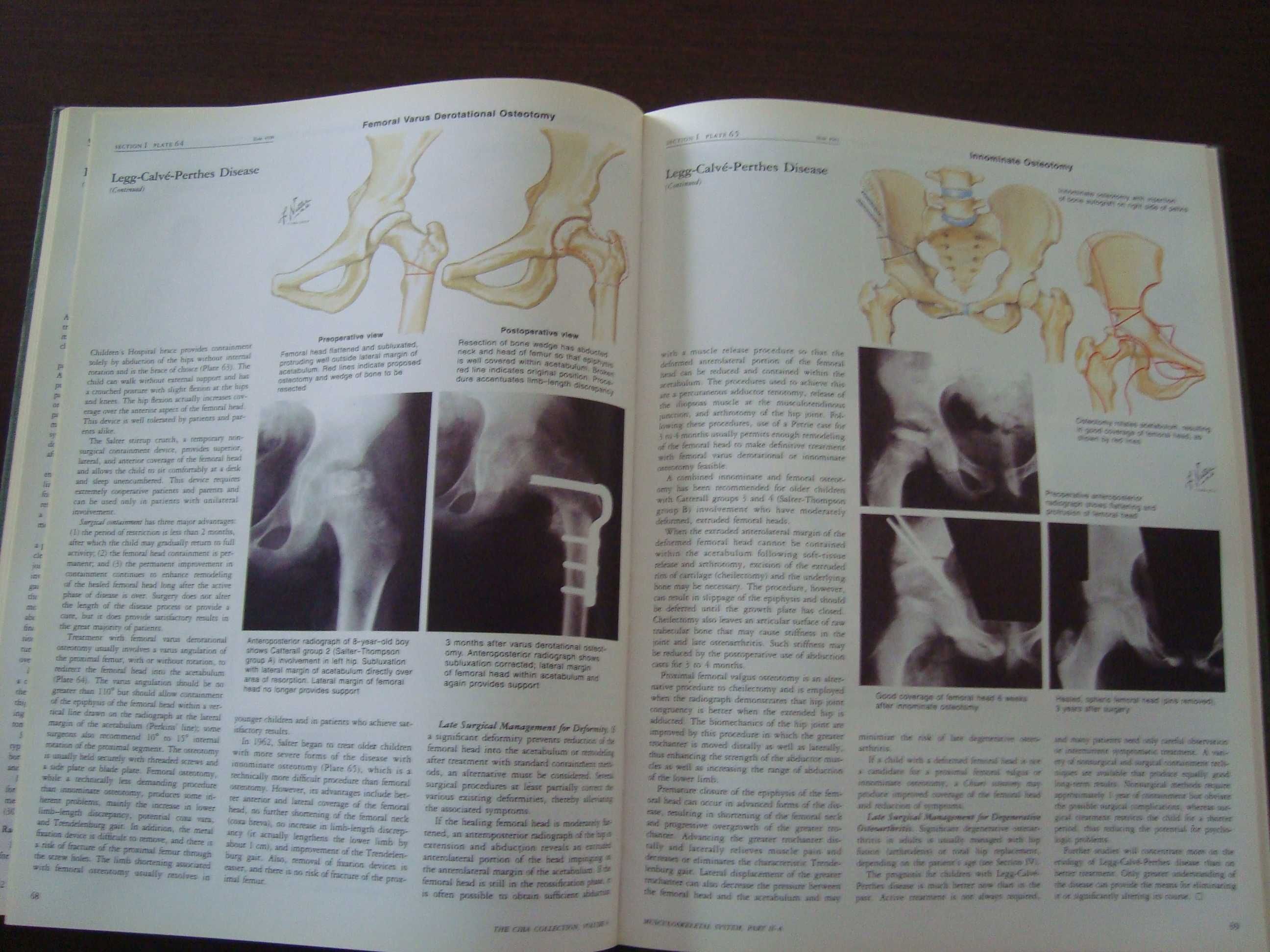 livro “The Ciba Collection of Medical Illustrations”