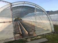 Tunel foliowy kompletny porzadny